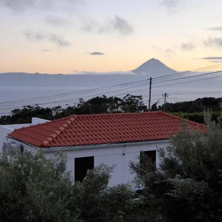 Azorean Sao Jorge Urzelina